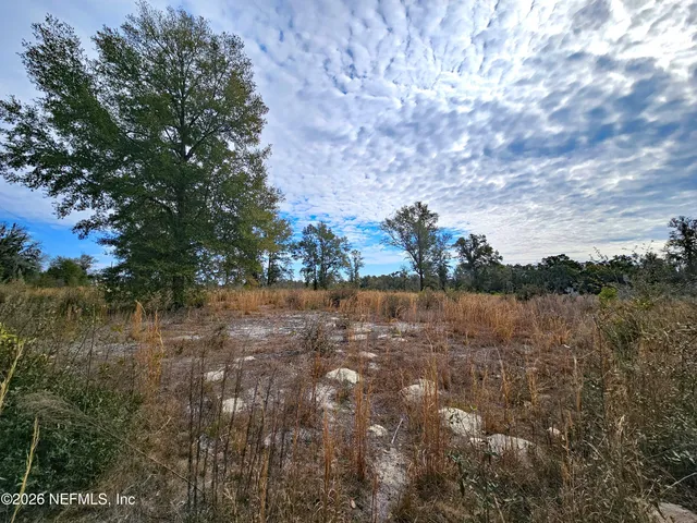 a view of mountain with trees in background