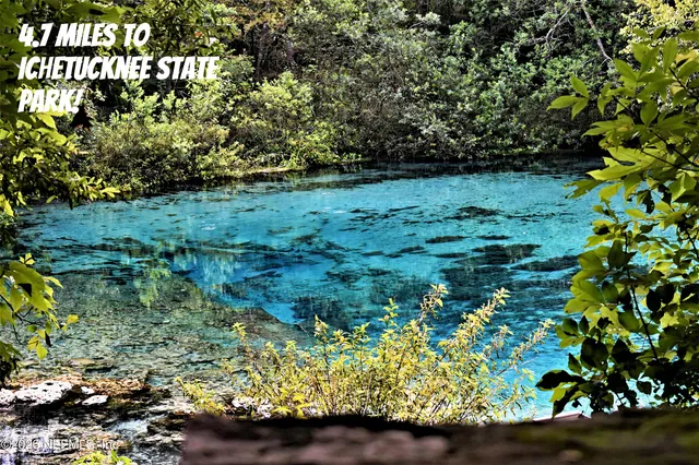a view of a garden with a bench