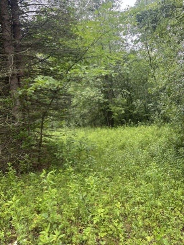 Elmwood Rd Green Green Bay, WI 54313 - Photo 13 of 16