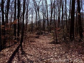 Lot 78-phase Hemlock Falls Road, Unit 78 Sylva, NC 28779 - Photo 3 of 6 a view of a yard