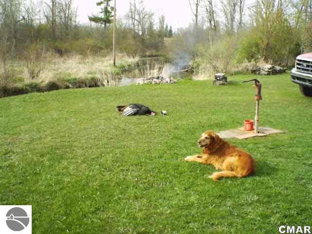 Tbd Tbd Brinton Road Blanchard, MI 49310 - Photo 12 of 24 1769811-11.JPG