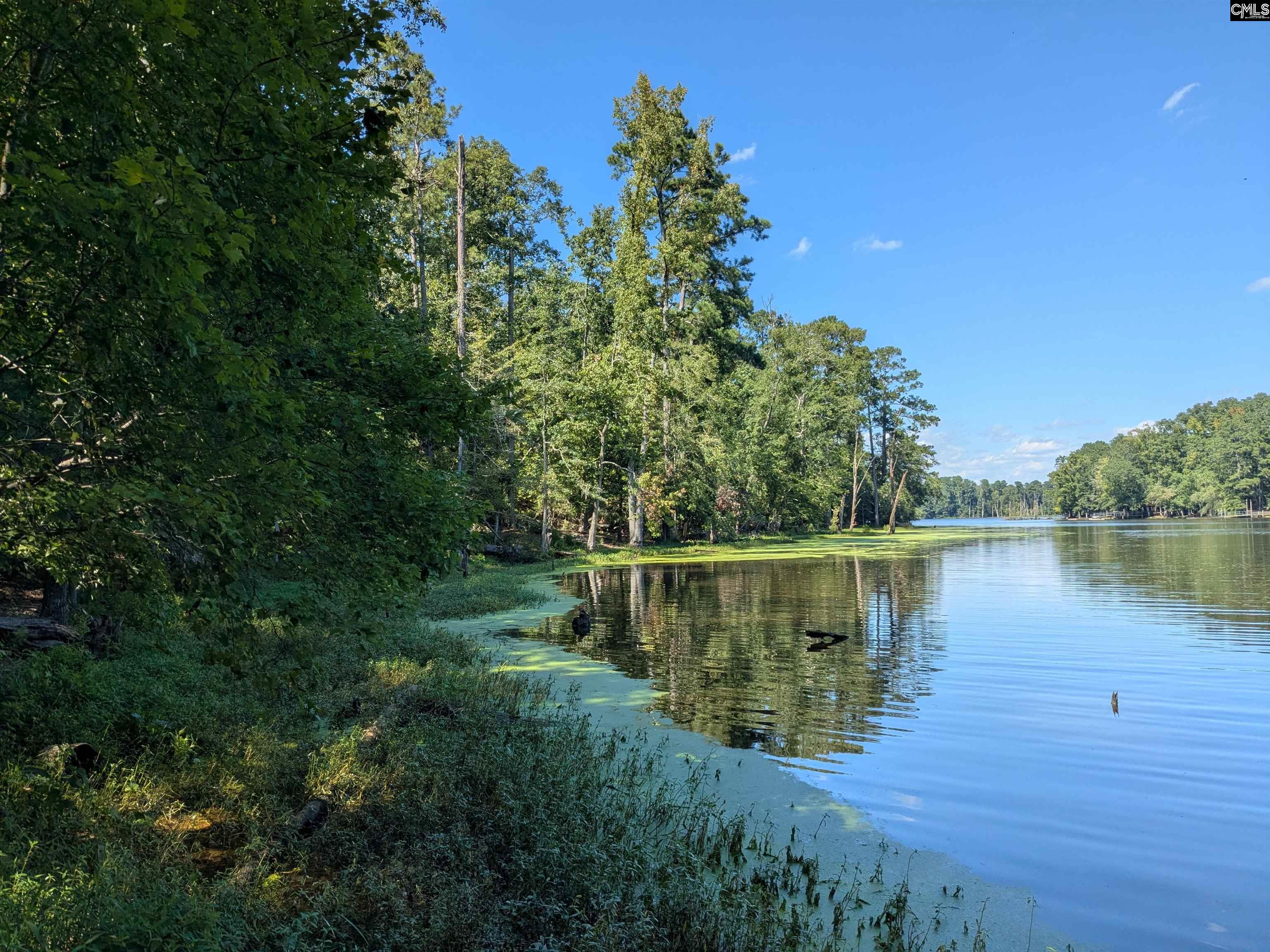 0 Taylor Road Batesburg, SC 29006 - Photo 8 of 20
