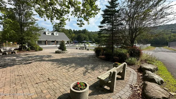 a view of a backyard