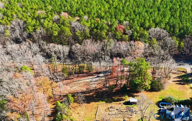 a view of a yard with plants and large trees