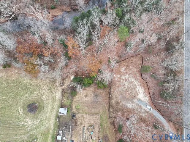 a close up of a tree