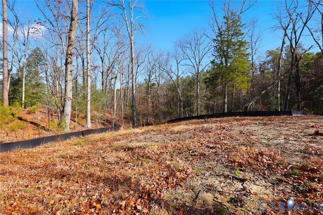 a view of a yard with trees