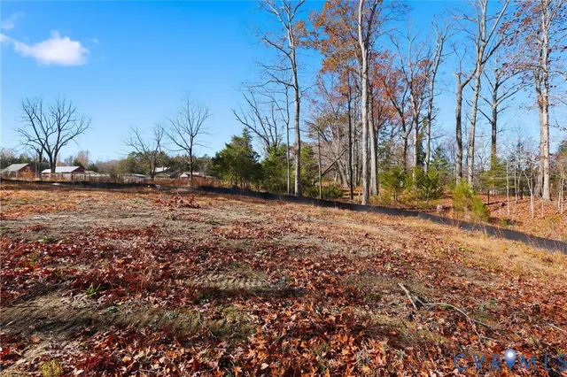 a view of dirt yard with a large tree