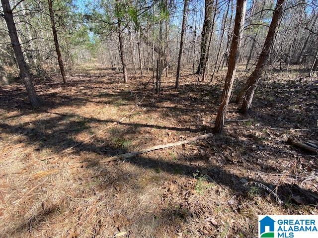 0 Jones Chapel Loop, Unit 15 / ACRES Springville, AL 35146 - Photo 5 of 10