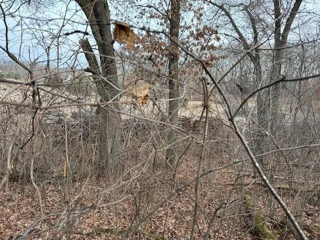 $200,000 | Xxxx Xxxx 273rd Avenue Northwest, Zimmerman, MN 55398