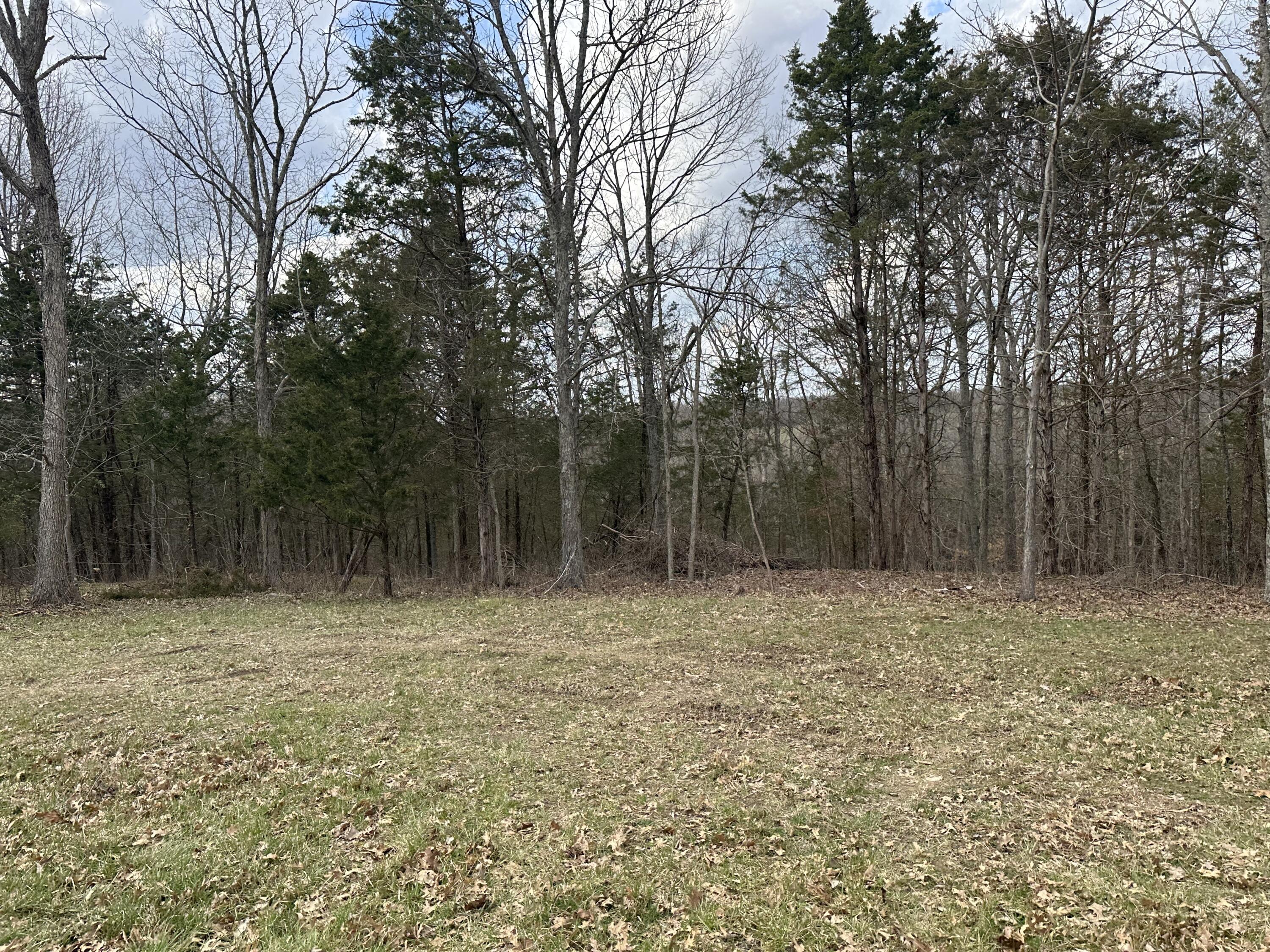 40414243 Fox Trail Road Corinth, KY 41010 - Photo 18 of 25
