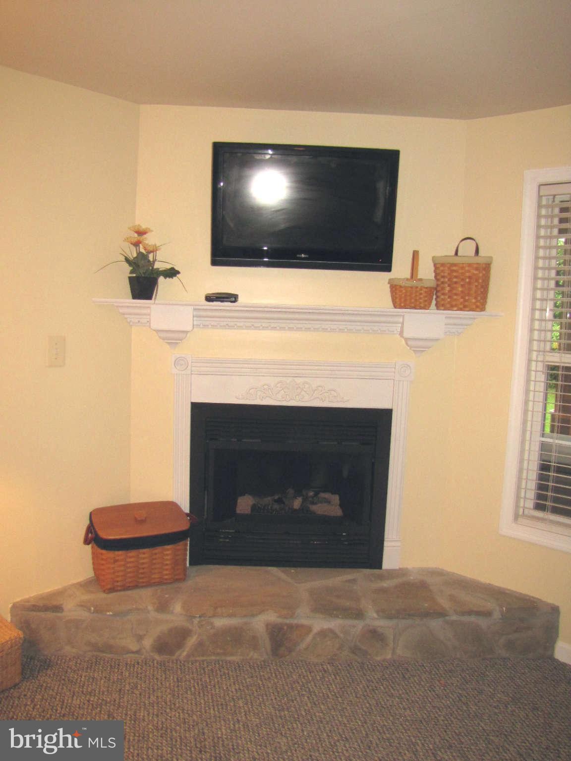 1426 Roman Ridge Way Bel Air, MD 21014 - Photo 18 of 23 Basement