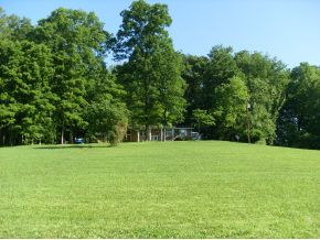 162 Price Road Johnson City, TN 37604 - Photo 3 of 22 Trees for Privacy