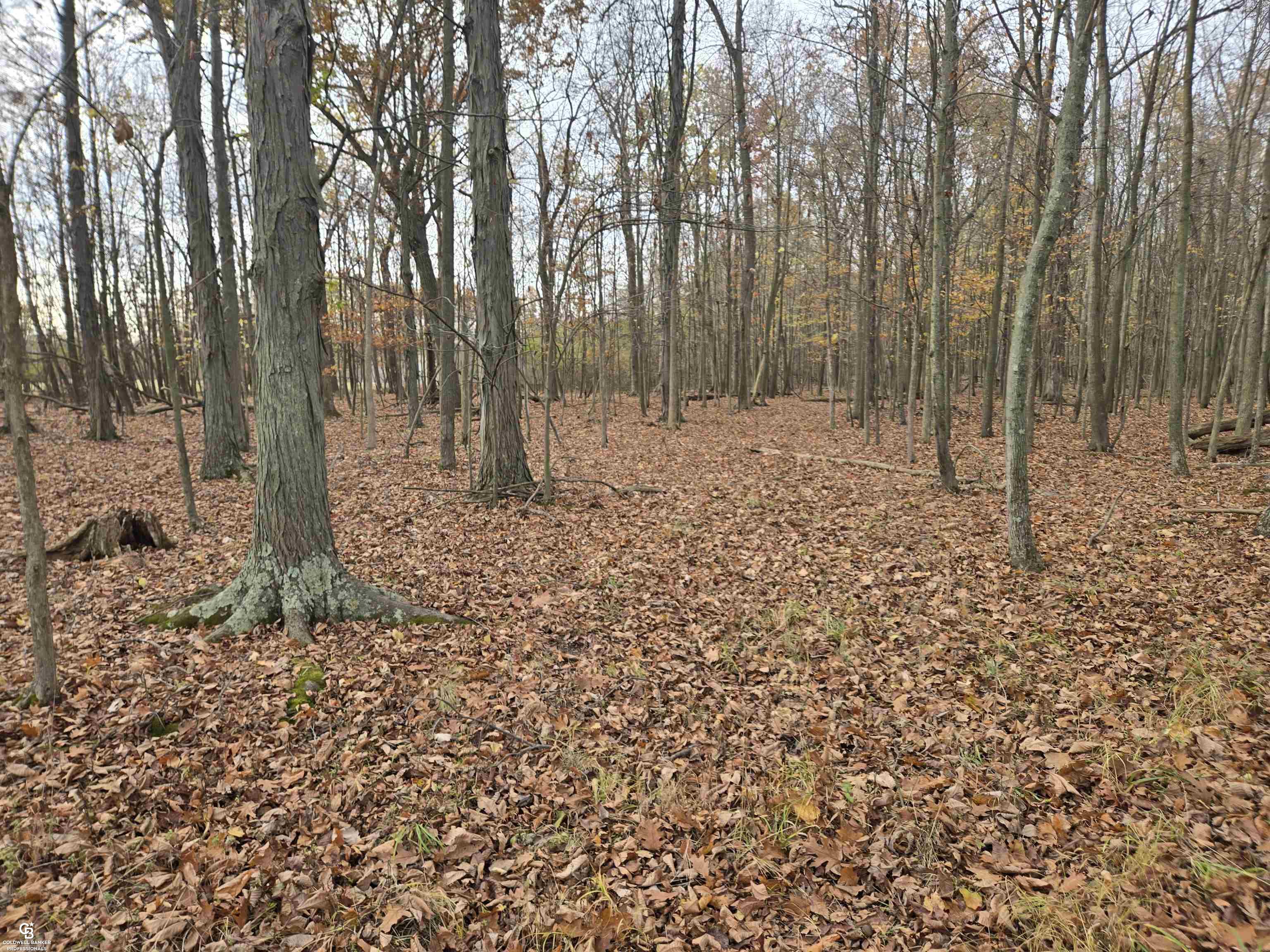 6151 Duce Road Avoca, MI 48006 - Photo 52 of 57 50193207-3912eb30-ed33-4f8e-b20d-3e2fd20e3e39.JPG