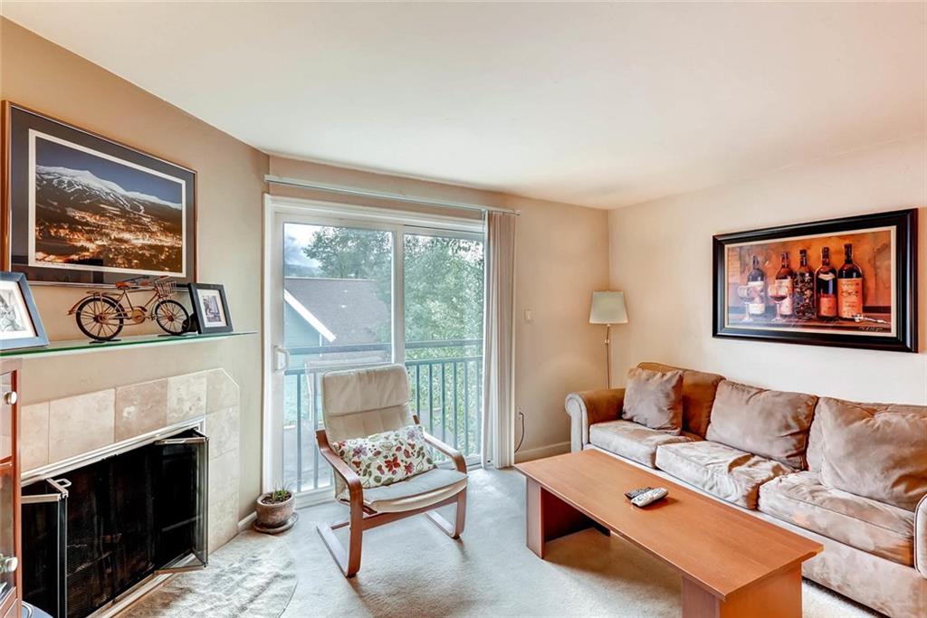 401 South Ridge Street, Unit 7 Breckenridge, CO 80424 - Photo 2 of 16 Gallery Image 2