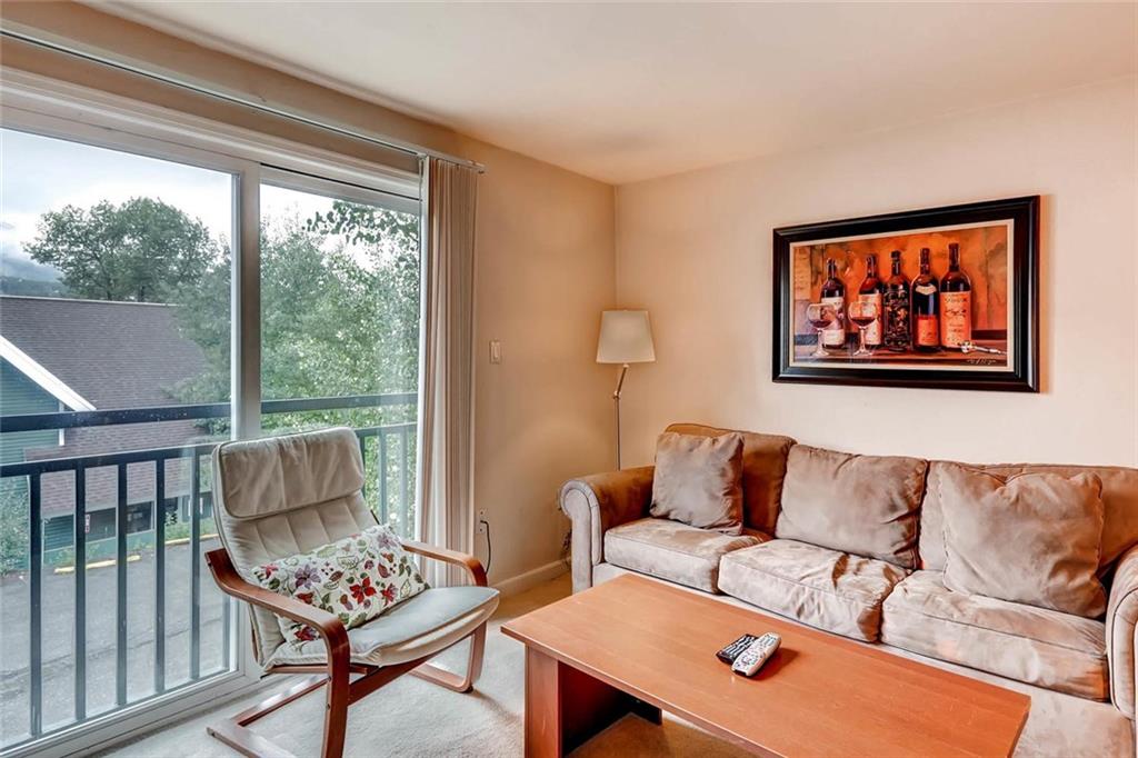 401 South Ridge Street, Unit 7 Breckenridge, CO 80424 - Photo 4 of 16 Gallery Image 4