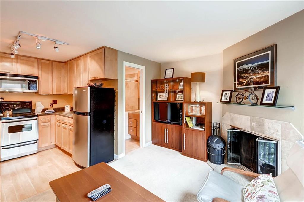 401 South Ridge Street, Unit 7 Breckenridge, CO 80424 - Photo 6 of 16 Gallery Image 6