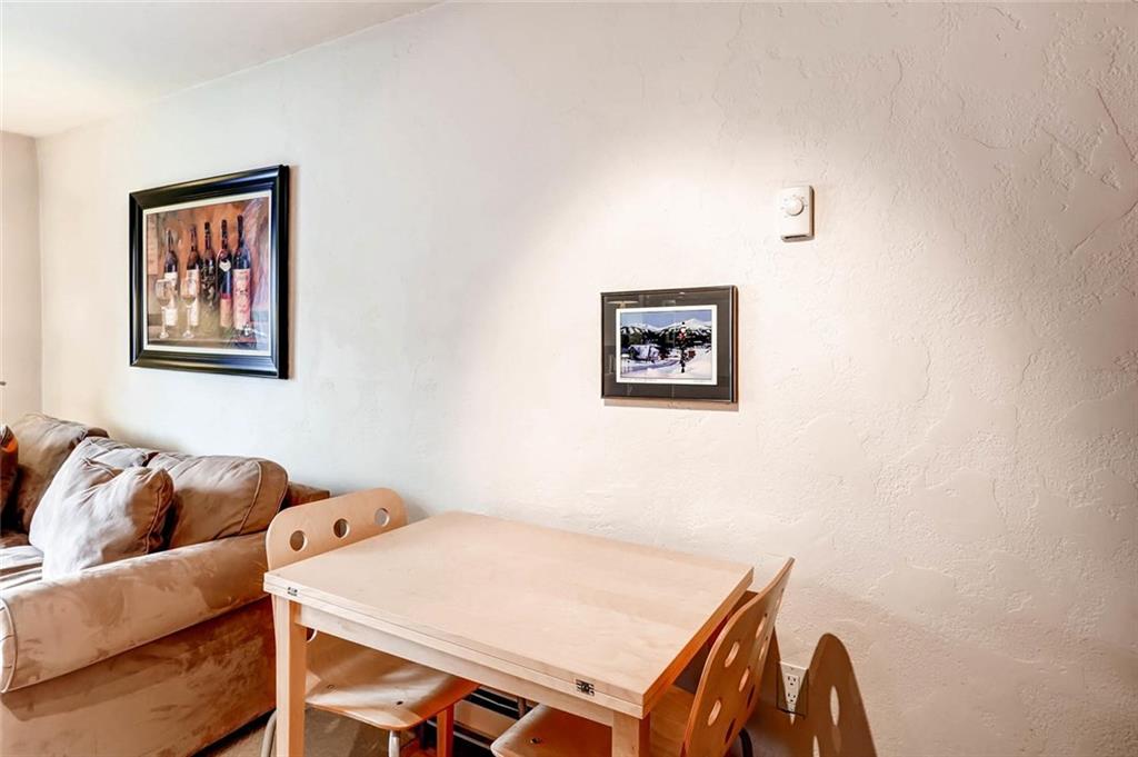 401 South Ridge Street, Unit 7 Breckenridge, CO 80424 - Photo 7 of 16 Gallery Image 7