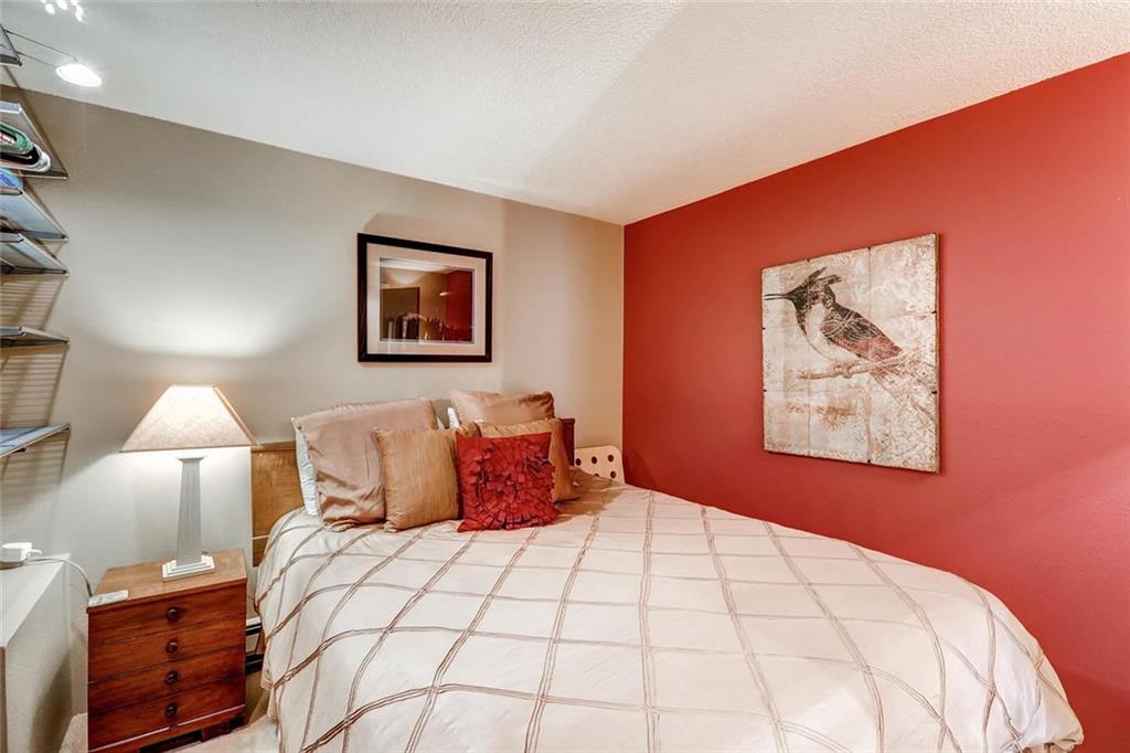 401 South Ridge Street, Unit 7 Breckenridge, CO 80424 - Photo 10 of 16 Gallery Image 10