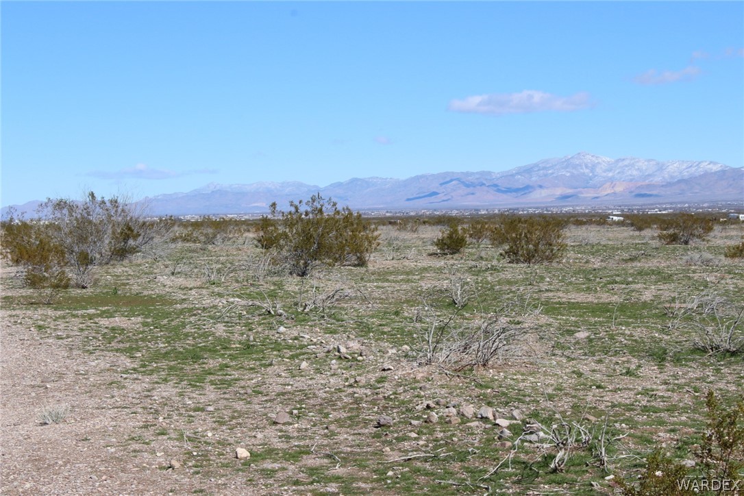 Tbd Flint Road Golden Valley, AZ 86413 - Photo 10 of 39 a view of a yard with a mountain