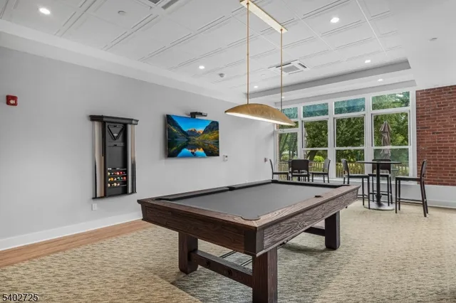 a living room with pool table and a potted plant