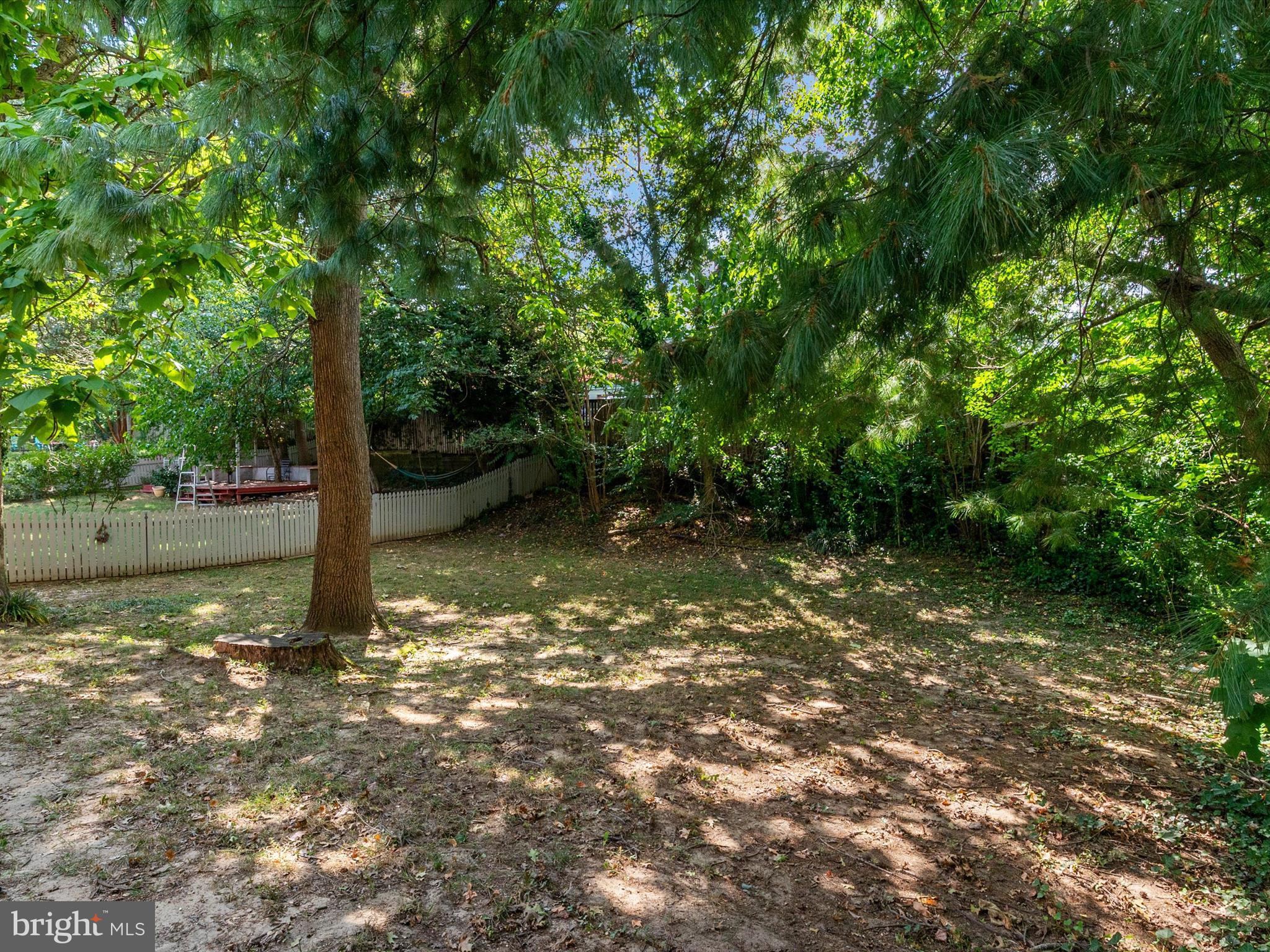 1411 Stonecreek Road Annapolis, MD 21403 - Photo 34 of 38 a view of a tree in a yard