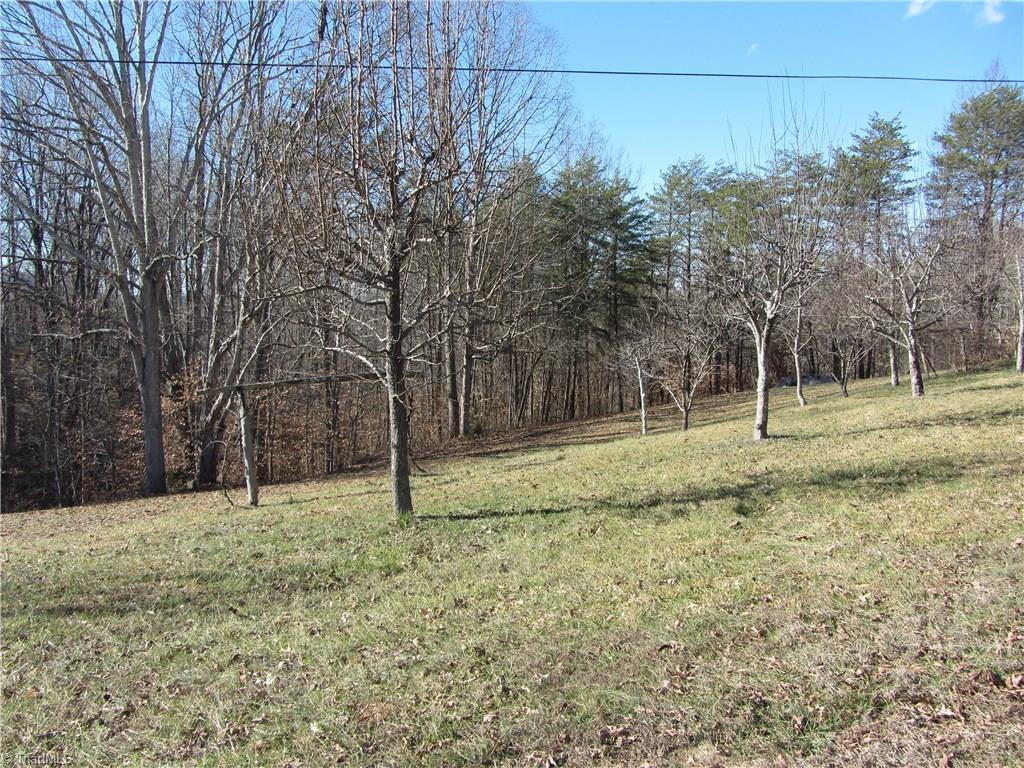 Gallery Image 7
