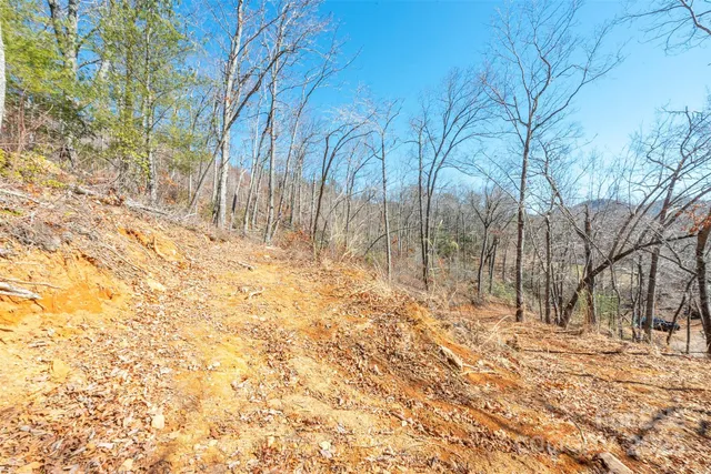 a backyard of a house with lots of trees