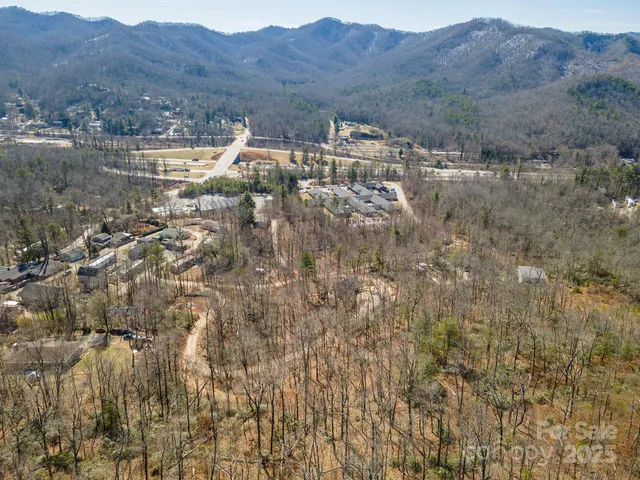 a view of mountain and tree
