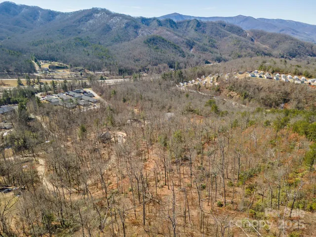 a view of mountain with trees in the background