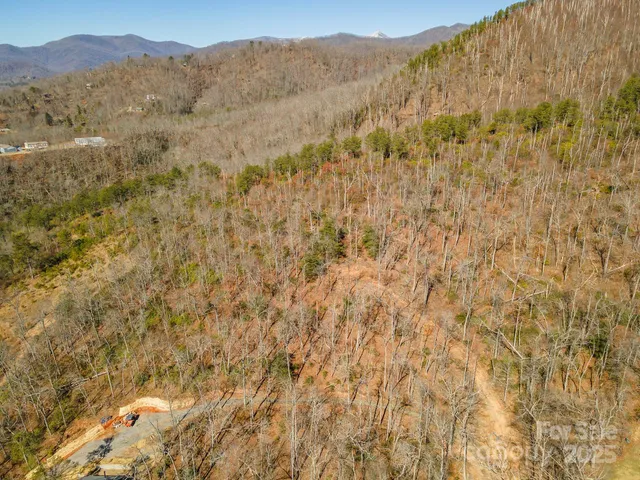 a view of a dry field with mountains in the background