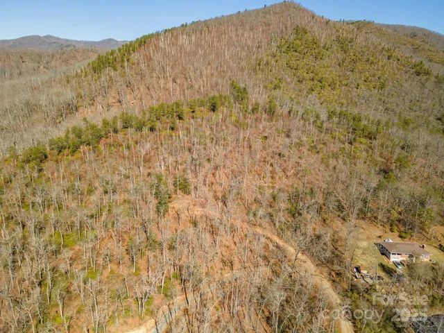 a view of a mountain in the distance