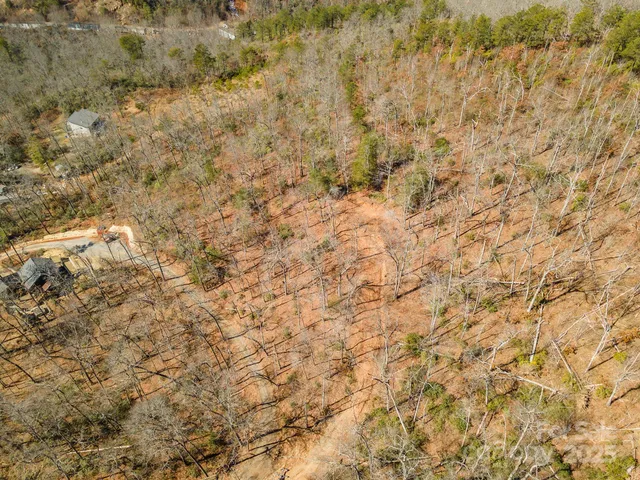 a view of a yard with trees
