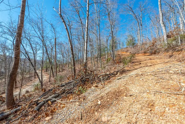 a backyard of a house with large trees