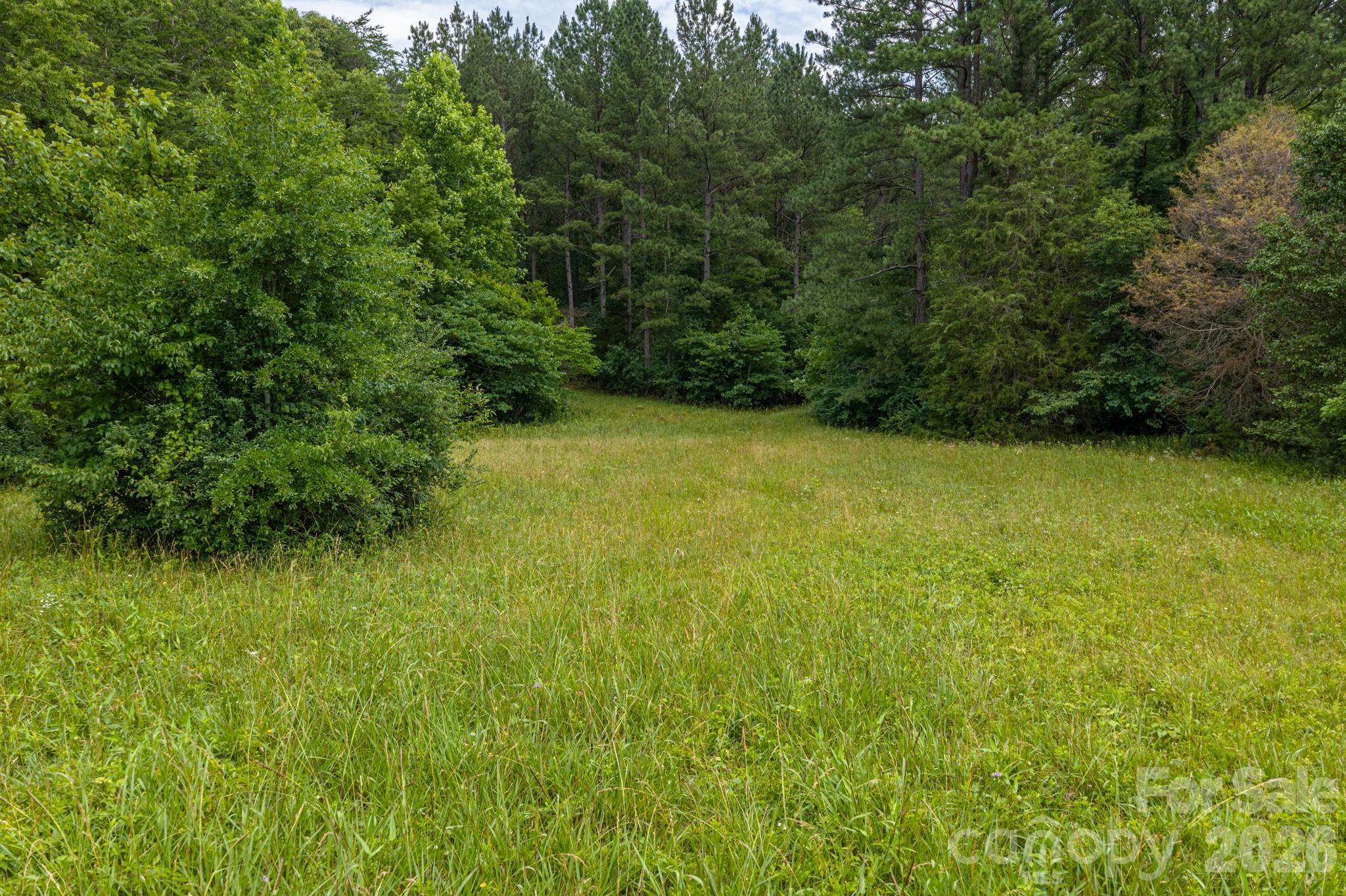 0 Logan Land Road Lincolnton, NC 28092 - Photo 4 of 7