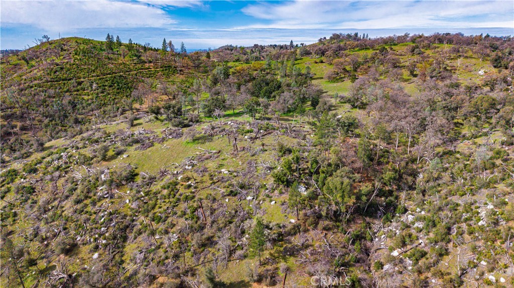 2320 Painted Pony Road Somerset, CA 95684 - Photo 28 of 43