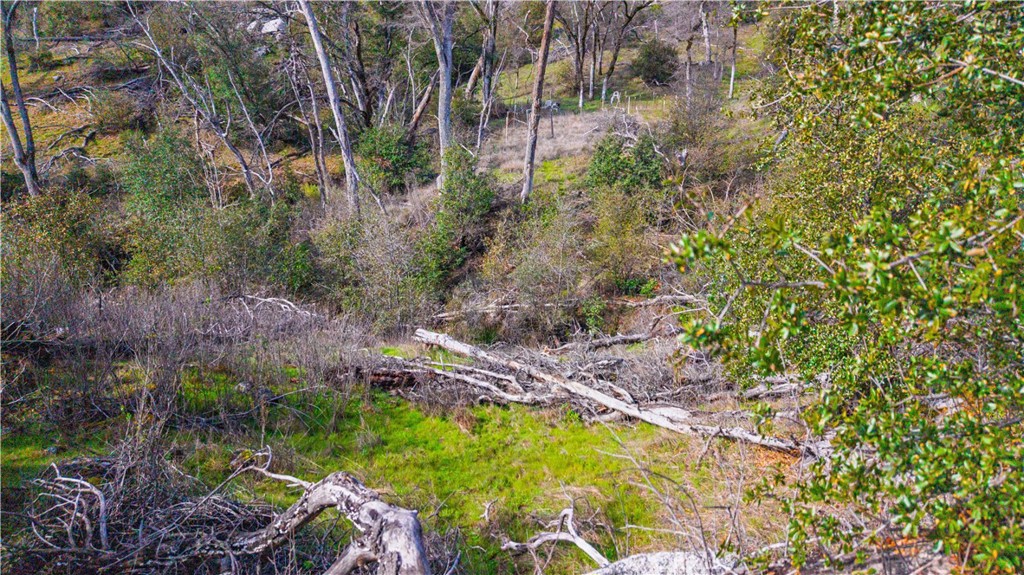 2320 Painted Pony Road Somerset, CA 95684 - Photo 30 of 43