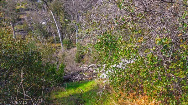 $120,000 | 2320 Painted Pony Road, Somerset, CA 95684