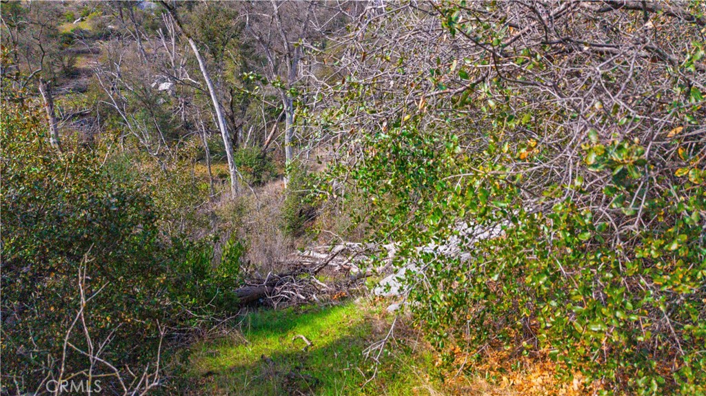 2320 Painted Pony Road Somerset, CA 95684 - Photo 31 of 43