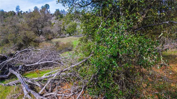 $120,000 | 2320 Painted Pony Road, Somerset, CA 95684