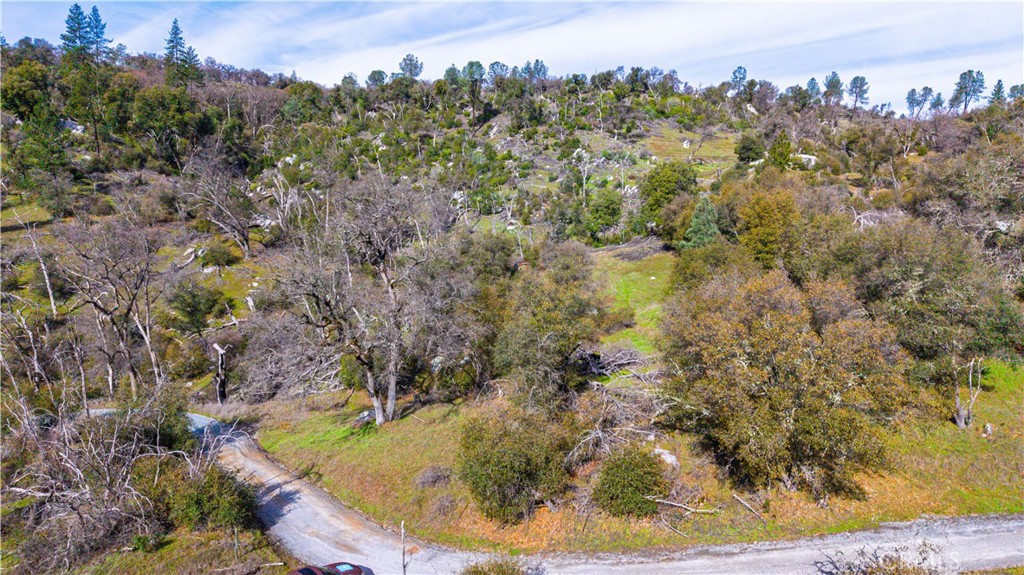 2320 Painted Pony Road Somerset, CA 95684 - Photo 10 of 43