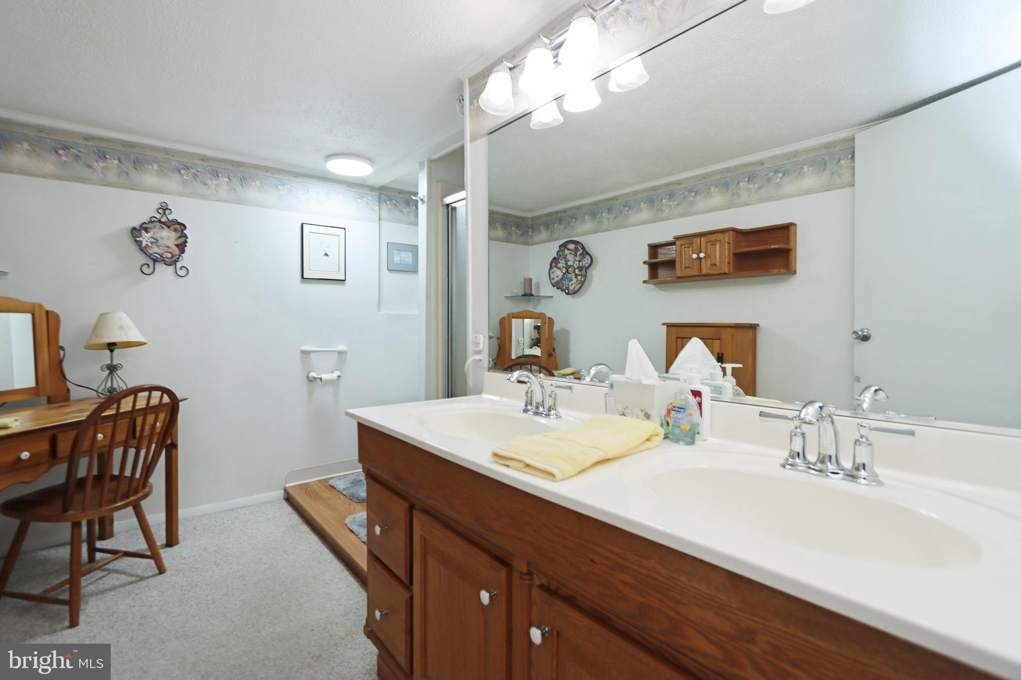 915 Emory Church Road Upperco, MD 21155 - Photo 33 of 47 Full bath with beauty area and shower