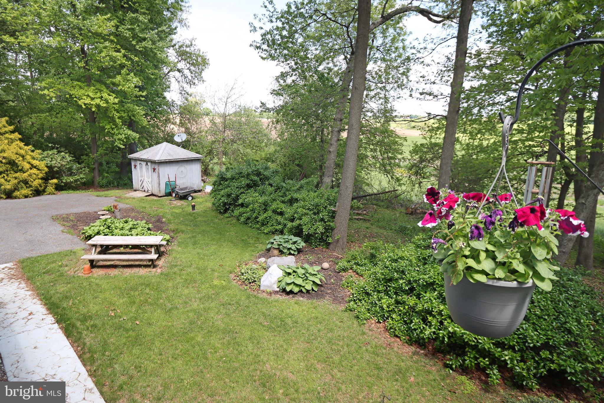 915 Emory Church Road Upperco, MD 21155 - Photo 39 of 47 Gardens comeback all by themselves