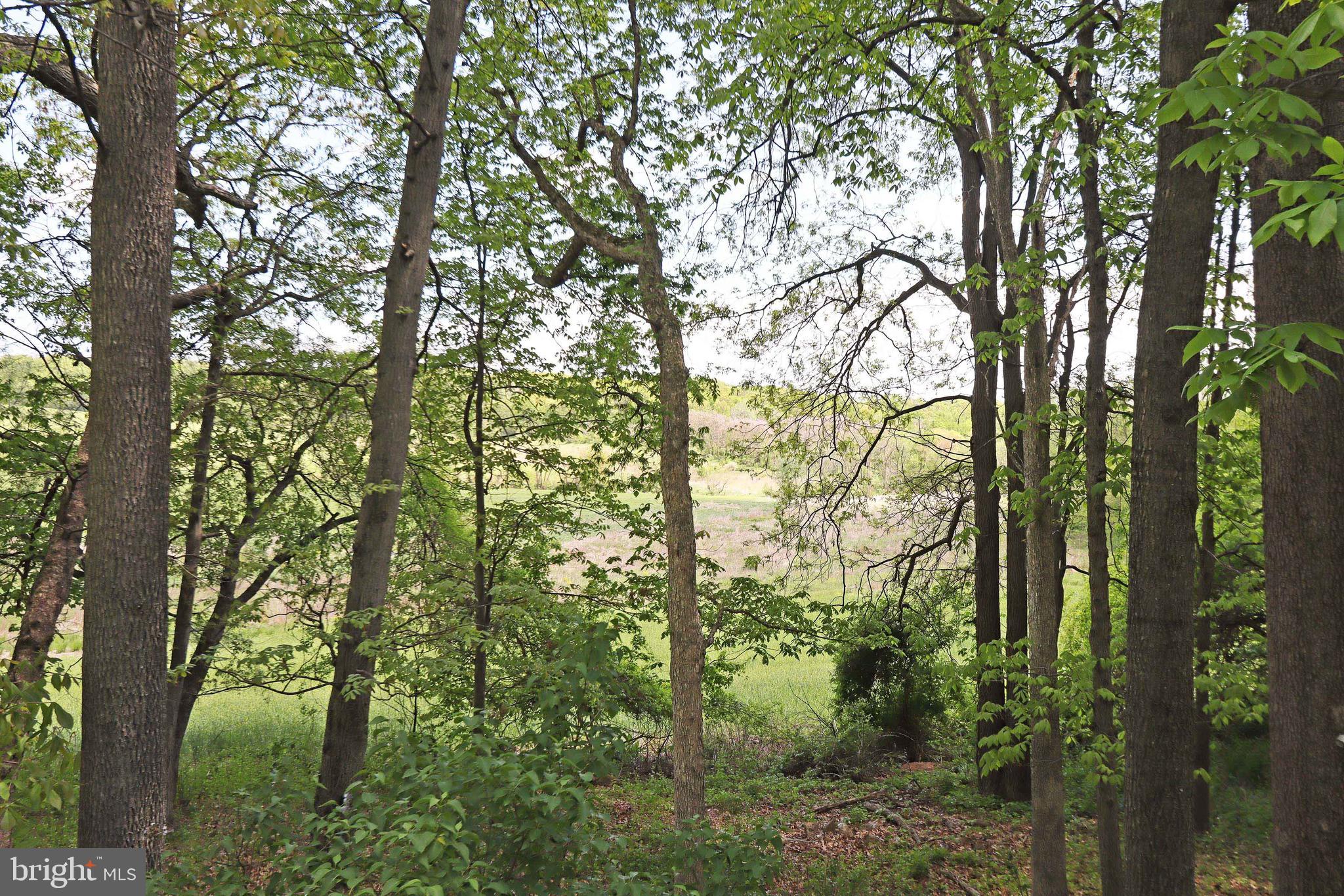 915 Emory Church Road Upperco, MD 21155 - Photo 41 of 47 Lok out over the farmland