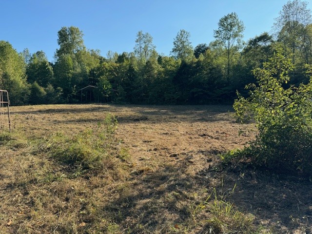 535 Goodman Branch Road Hohenwald, TN 38462 - Photo 12 of 28 Gallery Image 12
