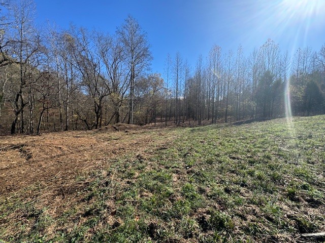 535 Goodman Branch Road Hohenwald, TN 38462 - Photo 15 of 28 Gallery Image 15