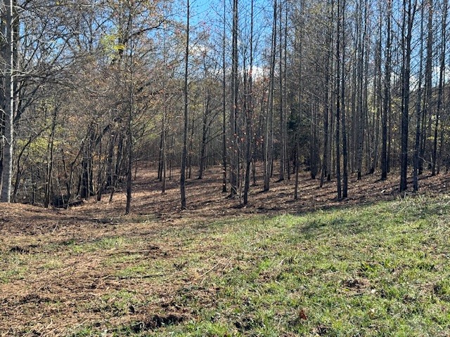 535 Goodman Branch Road Hohenwald, TN 38462 - Photo 16 of 28 Gallery Image 16