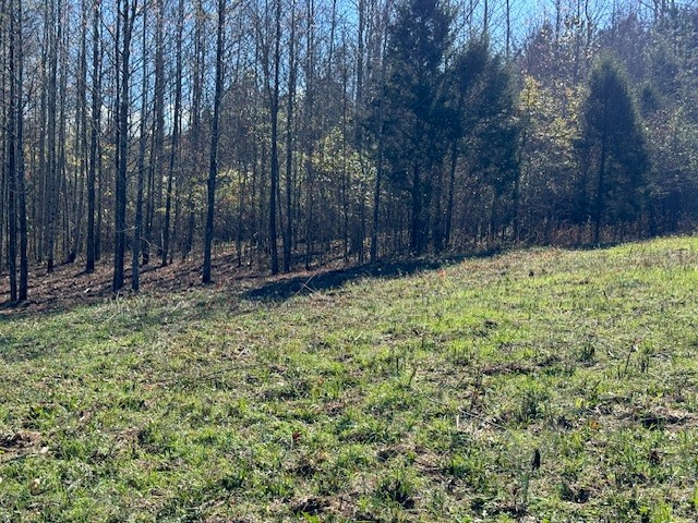 535 Goodman Branch Road Hohenwald, TN 38462 - Photo 17 of 28 Gallery Image 17