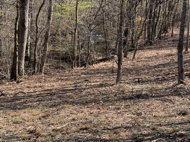 535 Goodman Branch Road Hohenwald, TN 38462 - Photo 19 of 28 Gallery Image 19