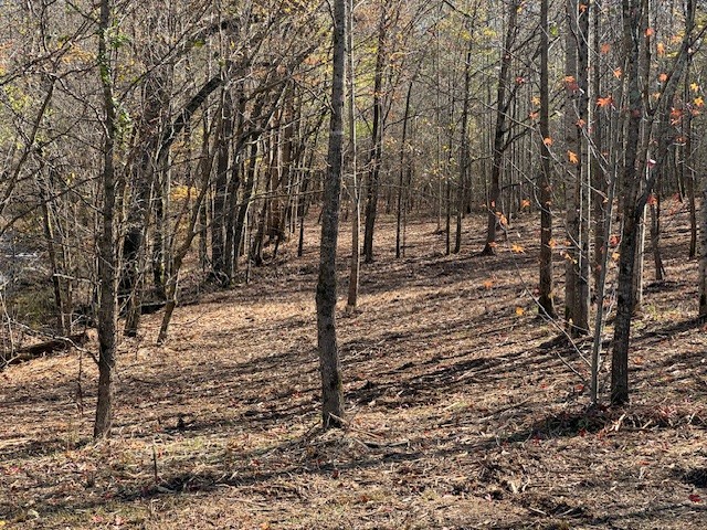535 Goodman Branch Road Hohenwald, TN 38462 - Photo 20 of 28 Gallery Image 20