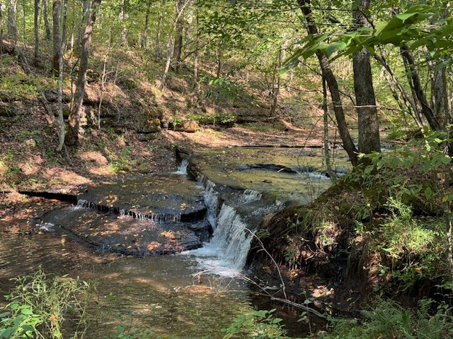 535 Goodman Branch Road Hohenwald, TN 38462 - Photo 2 of 28 Gallery Image 2